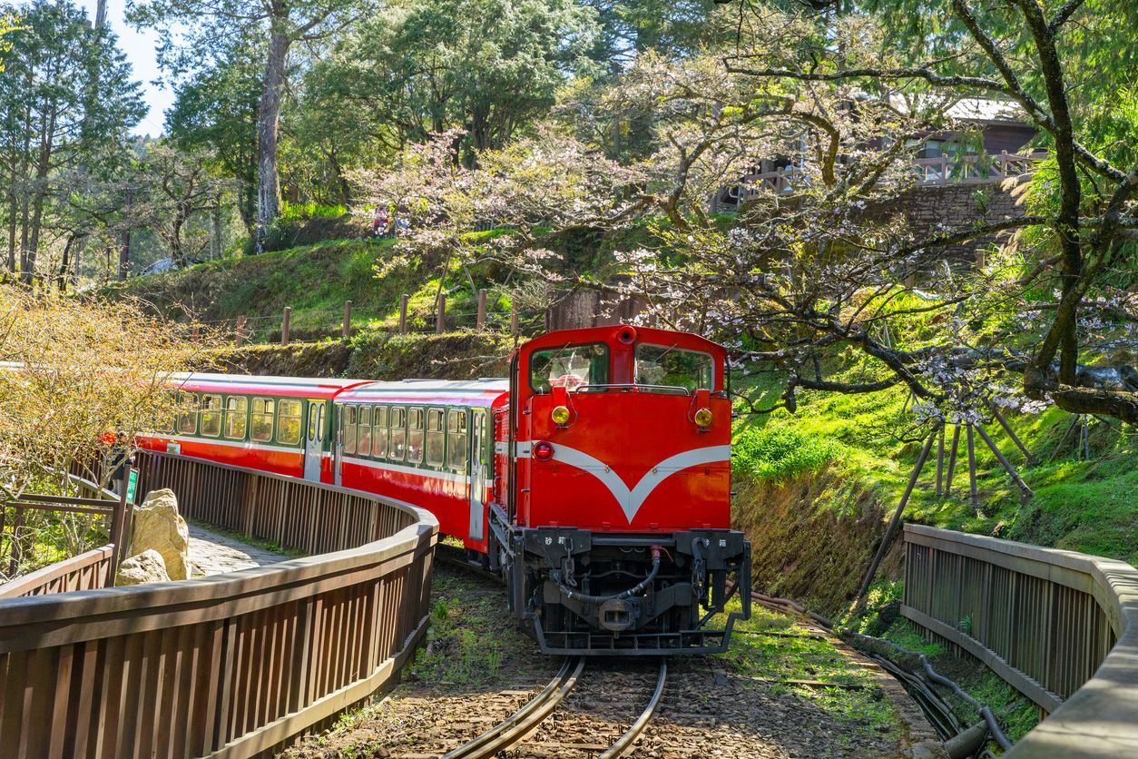 Alishan Forest Railway, uno de los trenes más bonitos del mundo