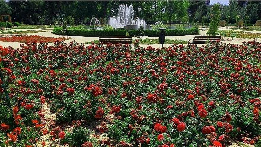 La rosaleda del jardín de Viveros, restaurada hace dos años, en una imagen tomada ayer.