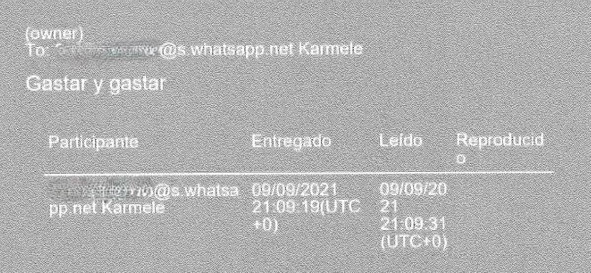 Mensaje del caso Koldo