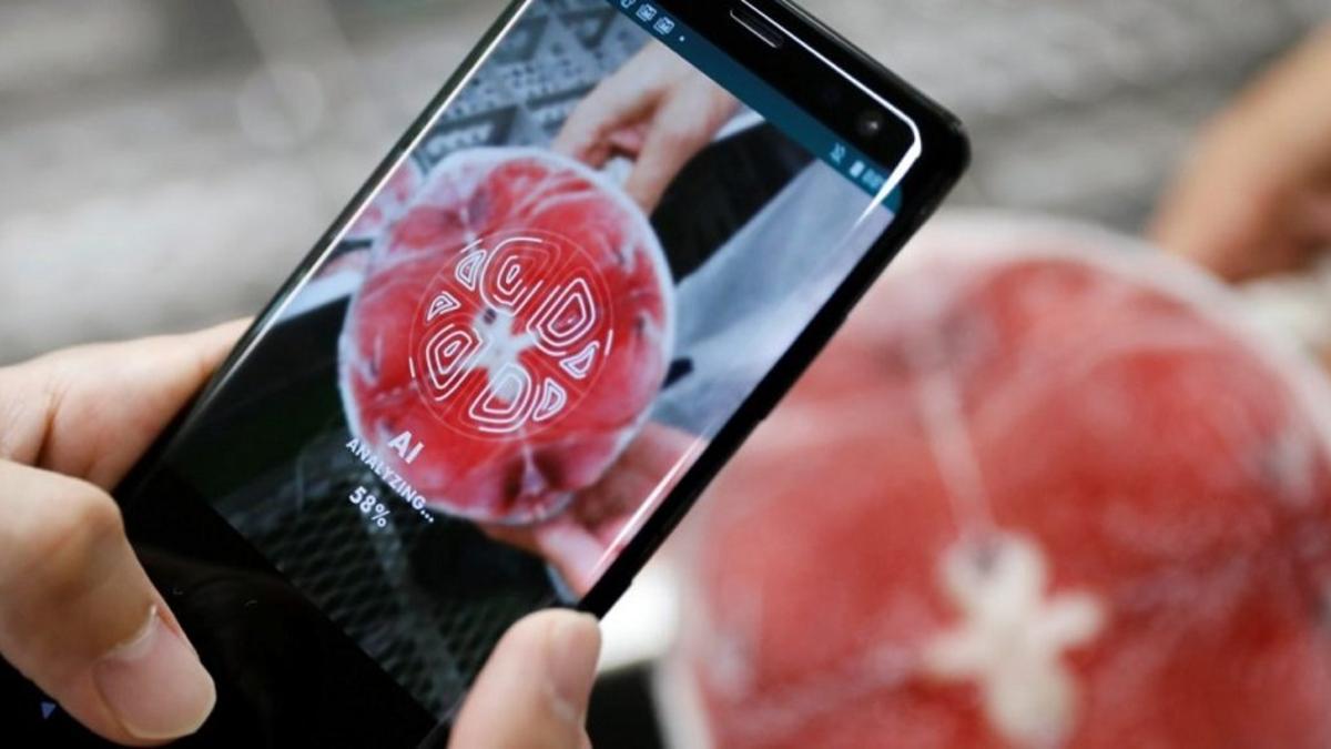 Esta app utiliza IA para detectar la calidad del atún