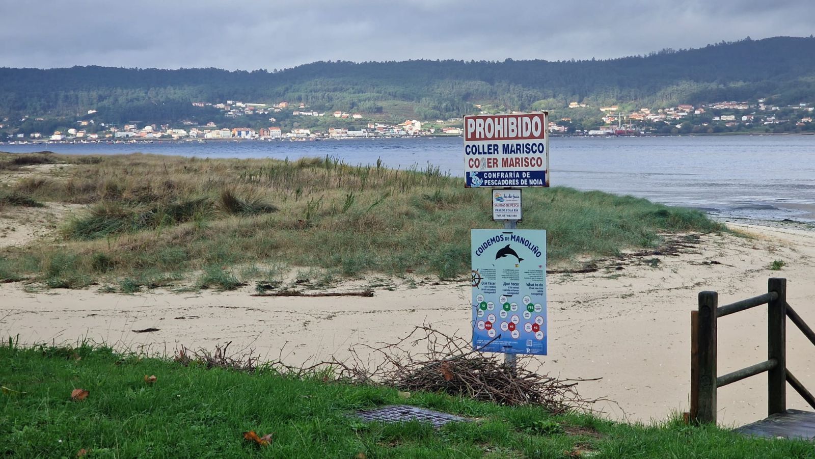 Así es el día a día en el puerto y la lonja de O Testal (Noia), donde cada vez se dan cita más mariscadores arousanos.