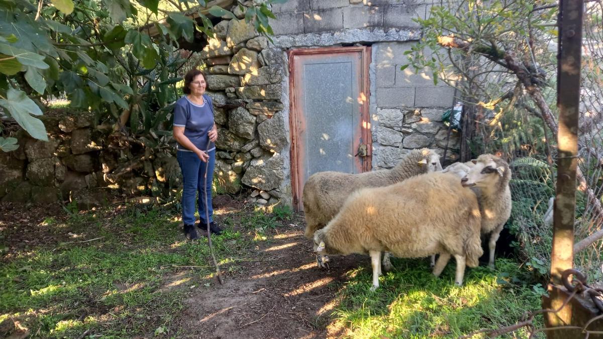 Juanita y sus ovejas. // FERNANDO CASANOVA
