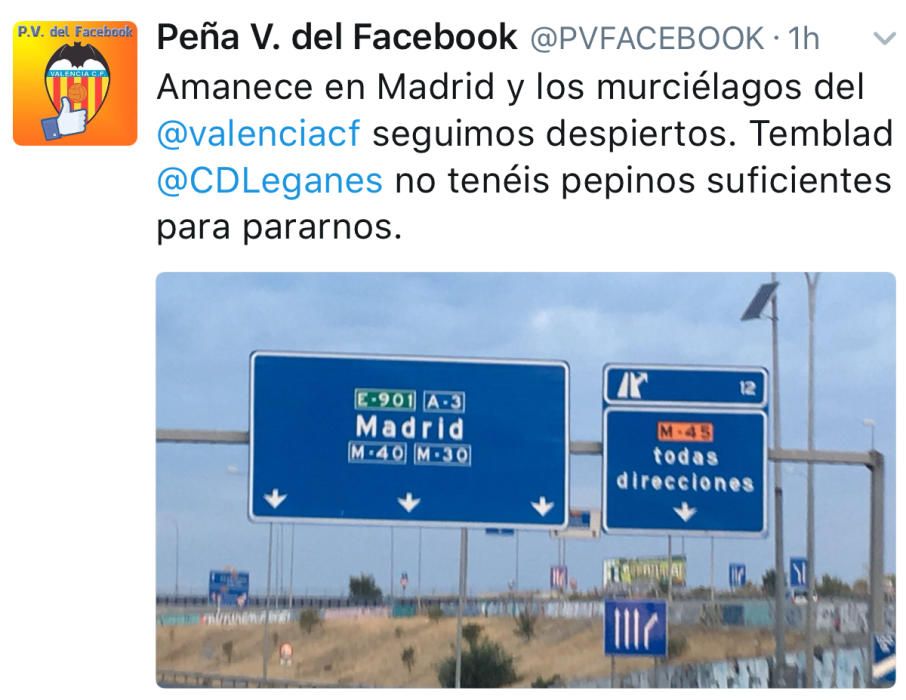 Los murciélagos ya están en Leganés