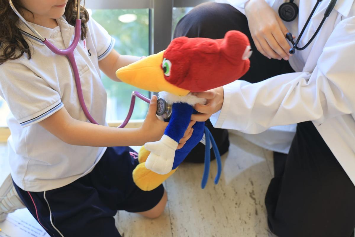Estudiantes de Medicina de Alicante y Elche "pasan consulta" con los niños en el "I Hospital de Ositos"