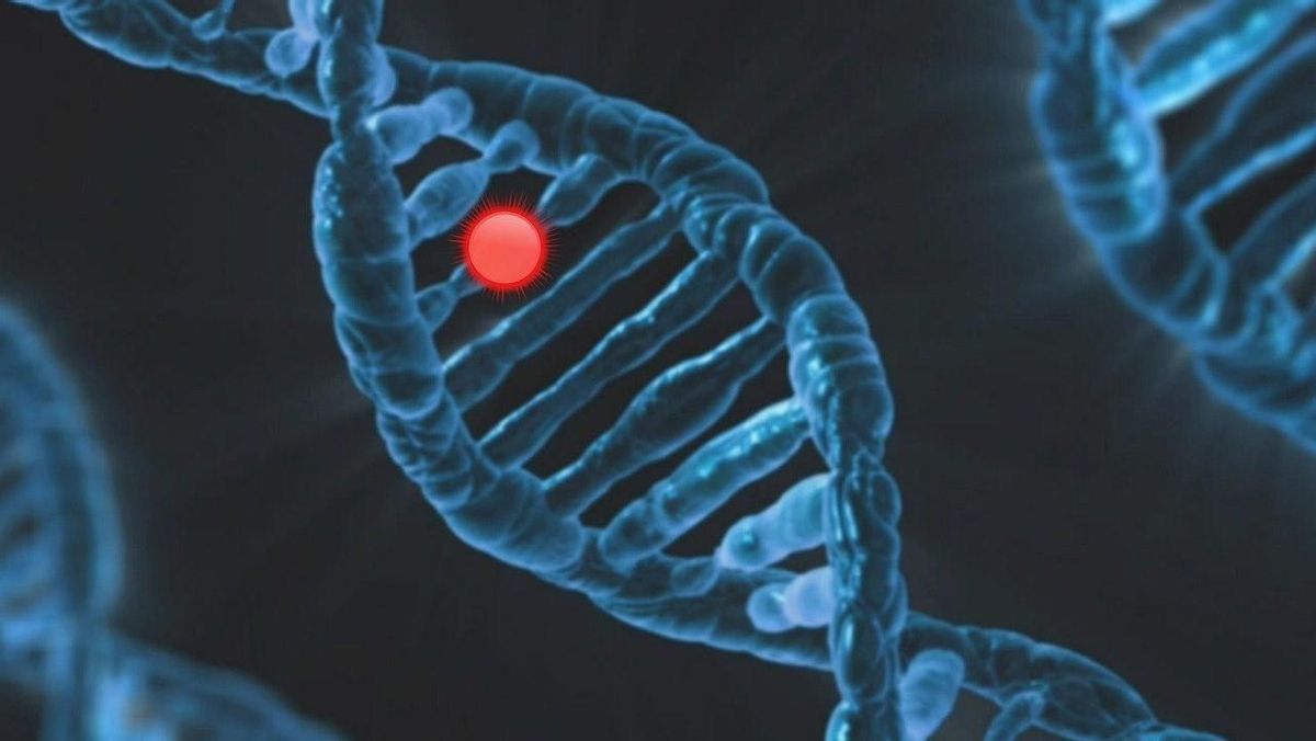 Un macroestudi reconeix que la fatiga crònica té origen genètic i obre la porta a nous tractaments Un macroestudi reconeix que la fatiga crònica té origen genètic i obre la porta a nous tractaments