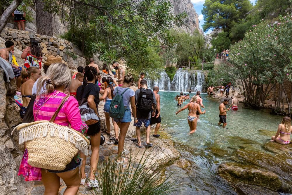 Aforo desbordado en les Fonts de l''Algar