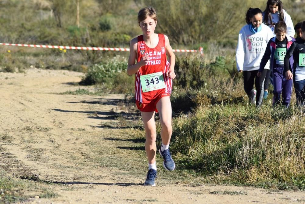 Cross Puerto Lumbreras (III)