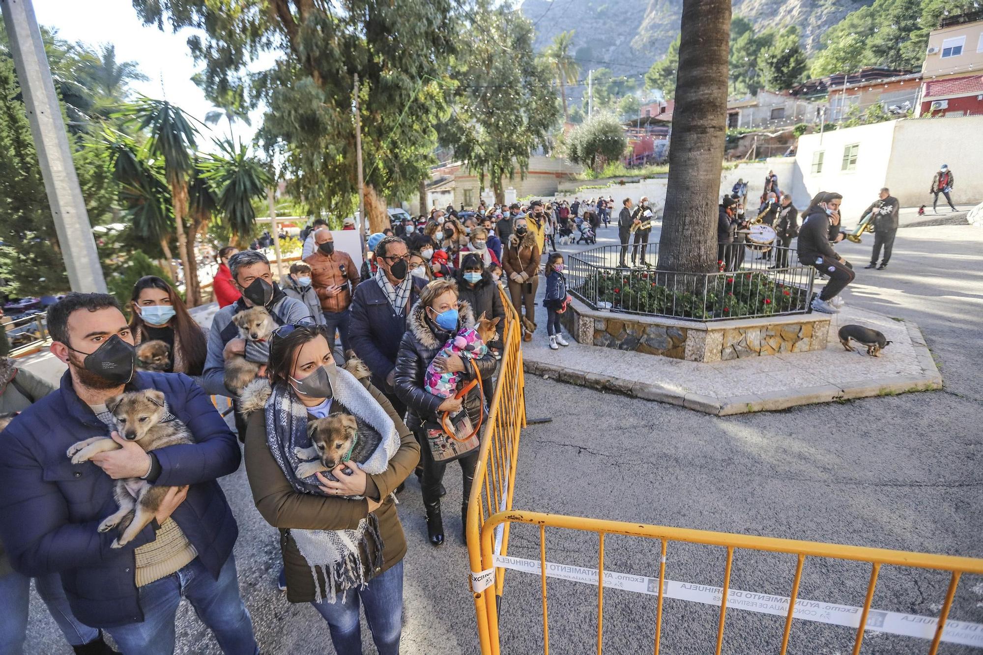 Orihuela: un San Antón con mascarilla