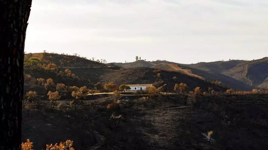 Los vecinos de Berrocal, El Álamo y El Madroño cuentan cómo han vivido el incendio de Niebla