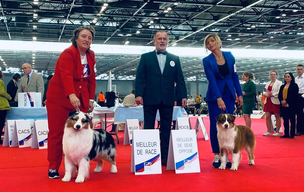 Por la izquierda Sonsoles Hevia y &quot;Jagger&quot;, el juez Christian Jouanchicot y otra participante, Radoine Marlene, con su perra de la misma raza, durante la final que ganó el perro de Sonsoles Hevia.