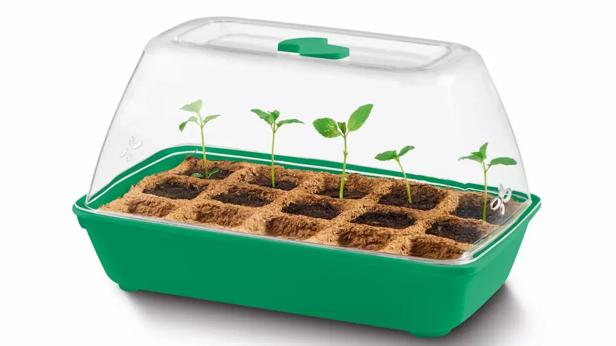 MINI INVERNADERO LIDL: El mini-invernadero de Lidl perfecto para plantar  verduras en tu casa y por menos de siete euros