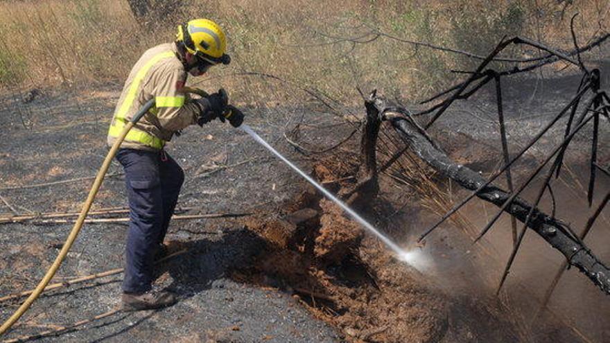 Un bomber apagant una soca a l&#039;Alt Empordà