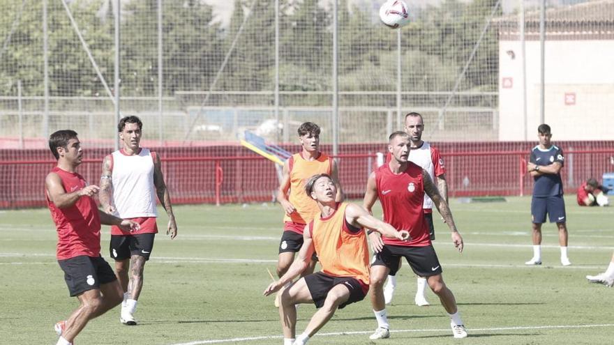 El primer entrenamiento del Real Mallorca 2024/25 en imágenes