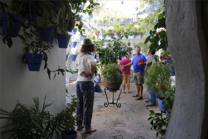 GALERÍA DE FOTOS / Los patios del Alcázar Viejo reabren sus puertas