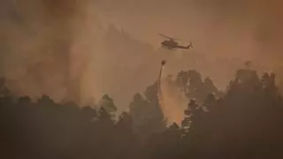 El incendio de La Palma se da por estabilizado y afecta a 2.960 hectáreas