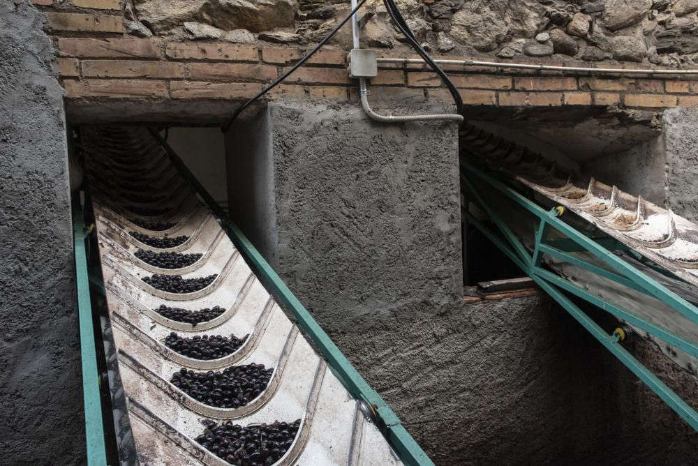 Celler cooperatiu d''Espolla