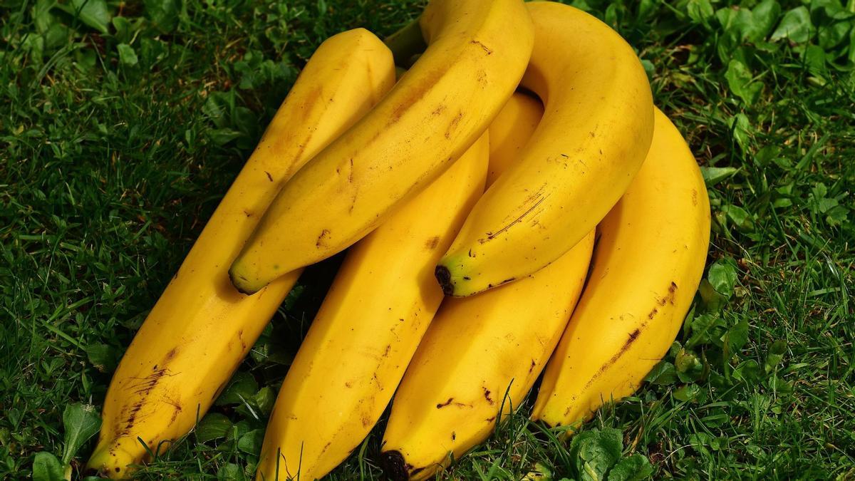 Una manilla de plátanos.
