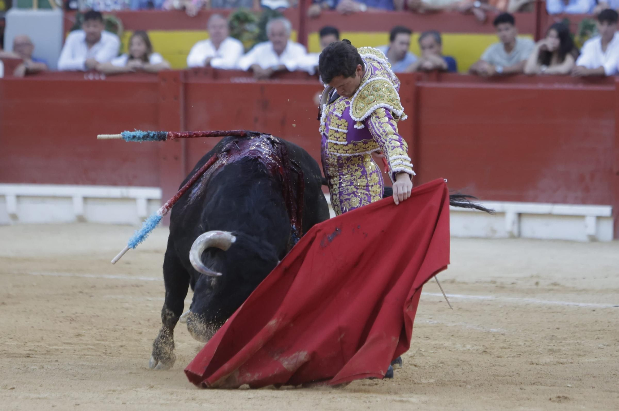 La corrida con el sello más alicantino de la Feria de Hogueras