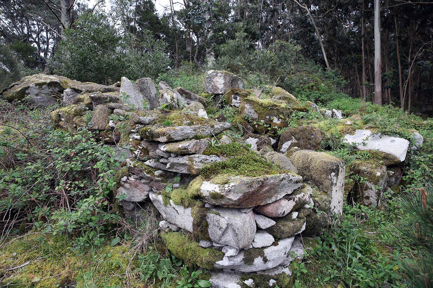 Los “ángeles” del  paraíso natural vigués