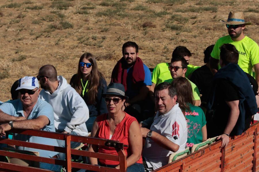 Fiestas en Zamora: Encierro en El Pego