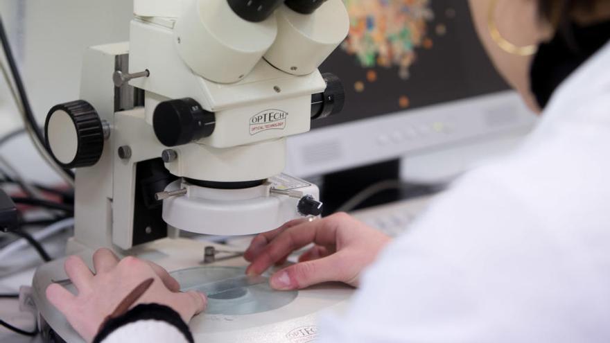 Innovación recibe 30 propuestas de centros de investigación y universidades contra el coronavirus