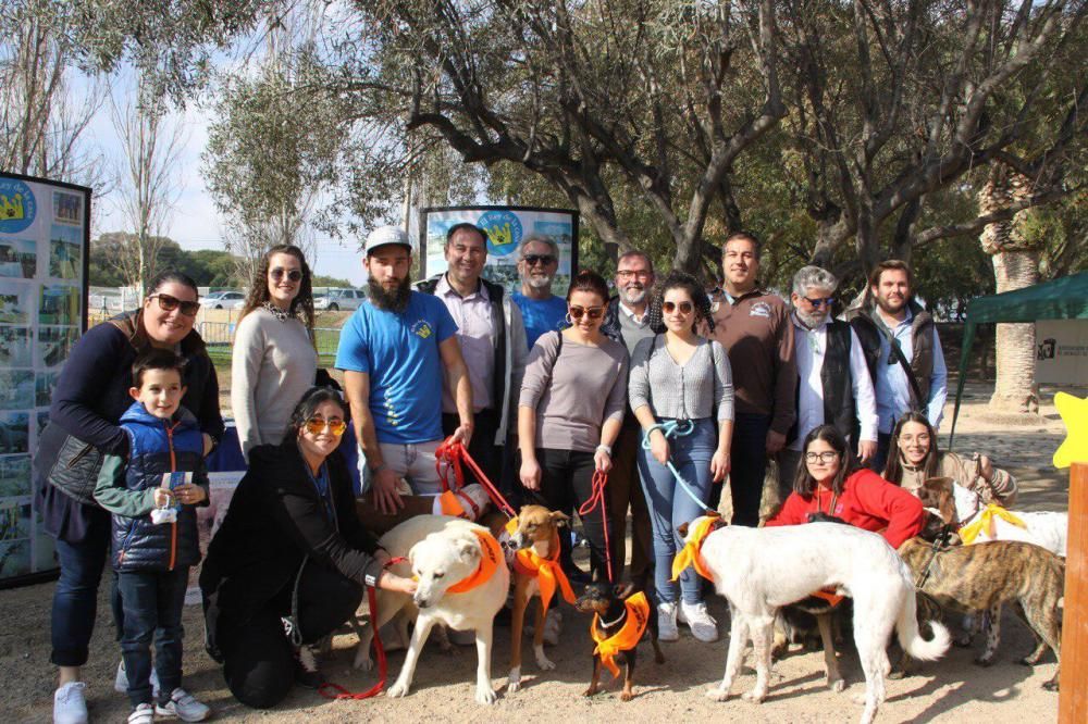 Festival de la Adopción de Perros de El Campello