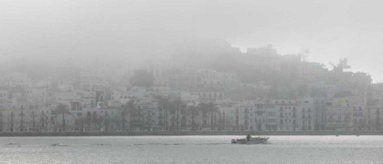 Temperaturas primaverales... y mucha niebla | VICENT MARÍ