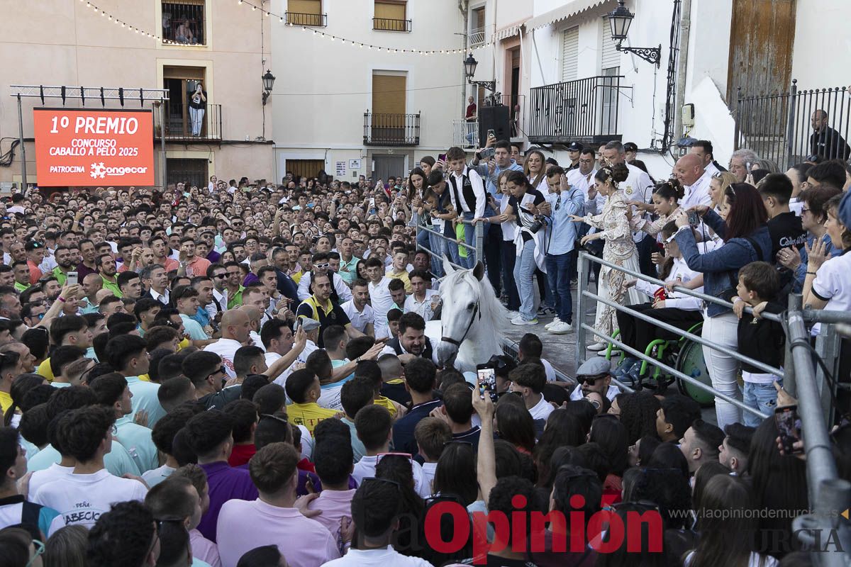Fiestas de Caravaca | Entrega de premios del concurso morfológico