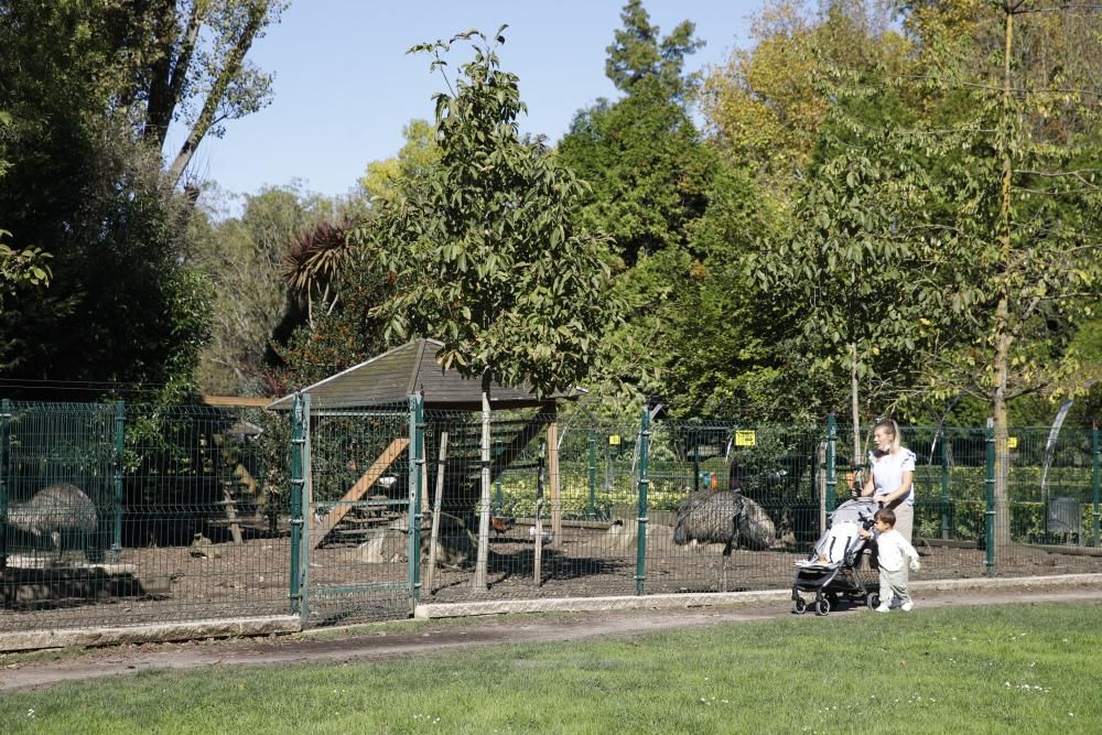 El parque Isabel la Católica supera las 600 aves