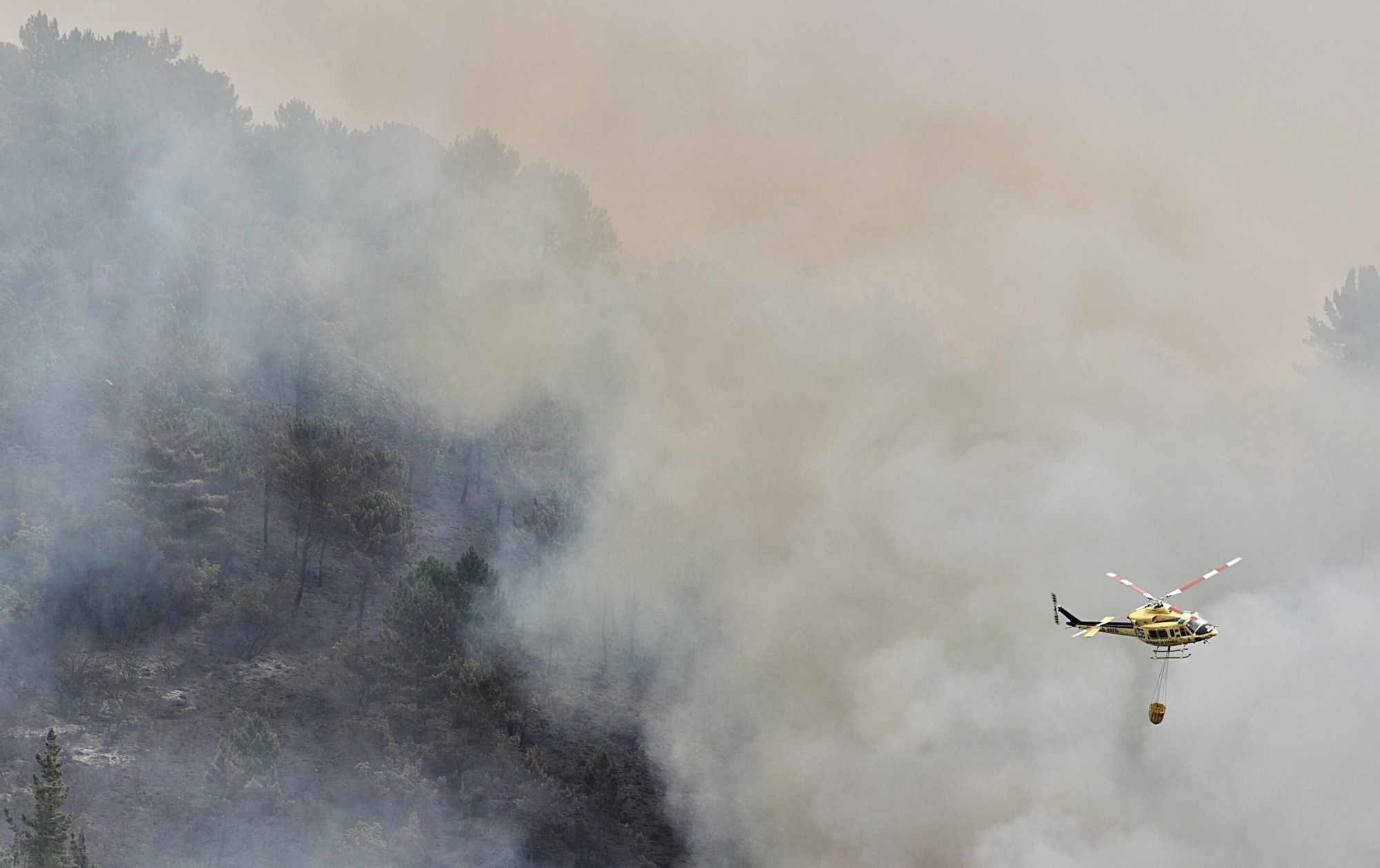EN IMÁGENES: La evolución del incendio de Ibias