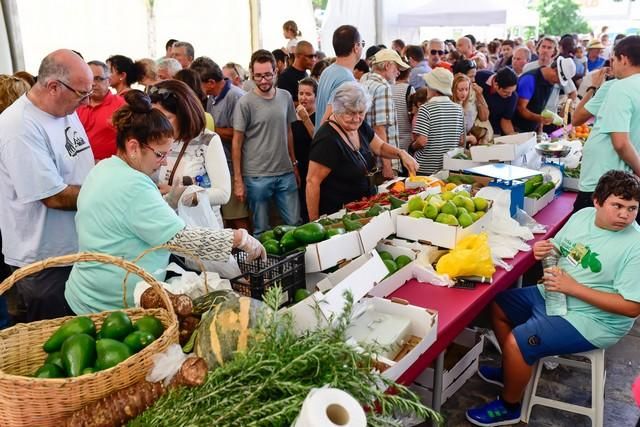 II Feria del Aguacate en Arguineguín