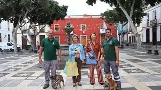 'De patas por Vegueta': la iniciativa para promover la adopción en Las Palmas de Gran Canaria
