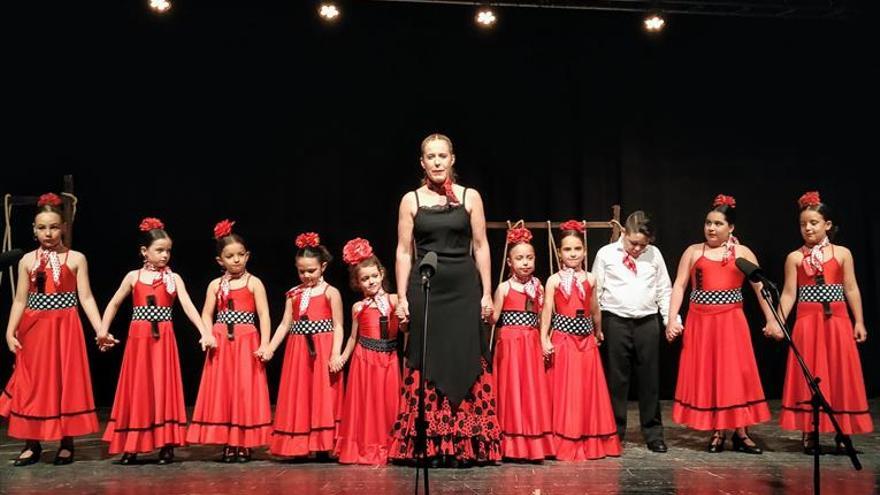 flamenco a beneficio de pequeños guerreros