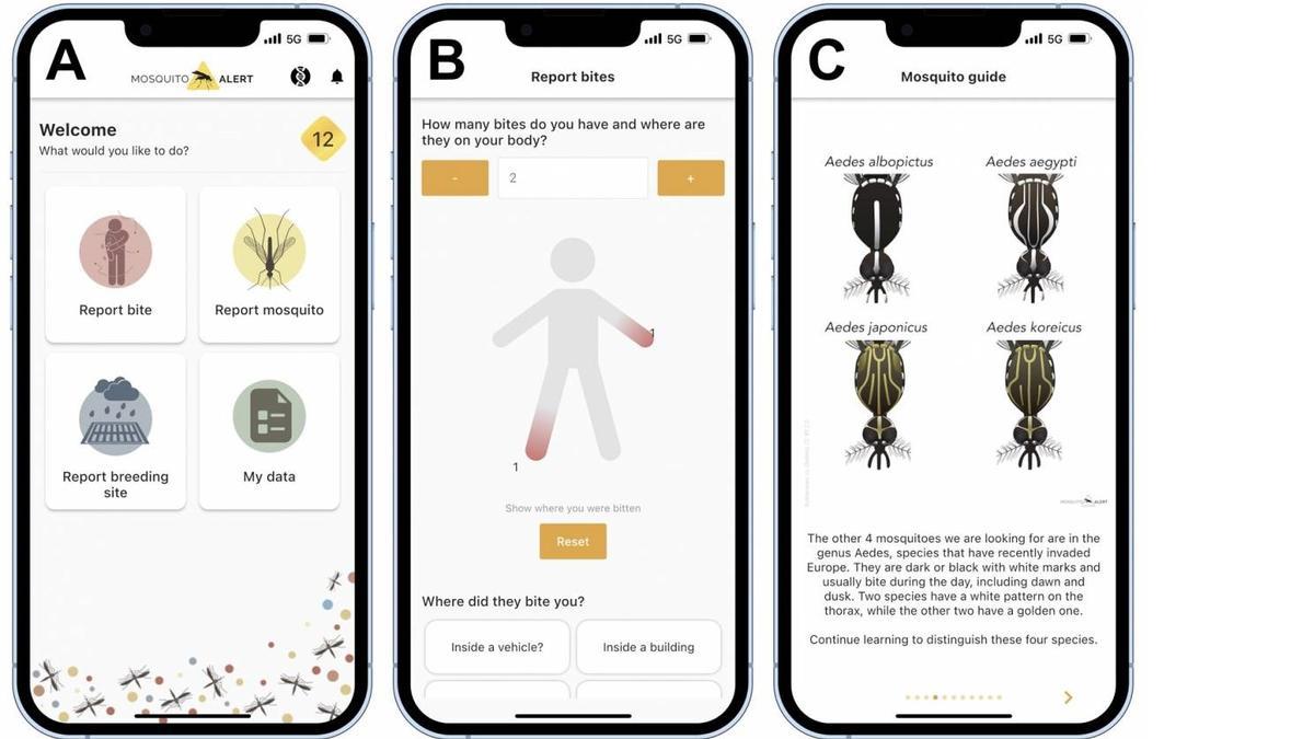 Ejemplo de cómo funciona la app española Mosquito Alert