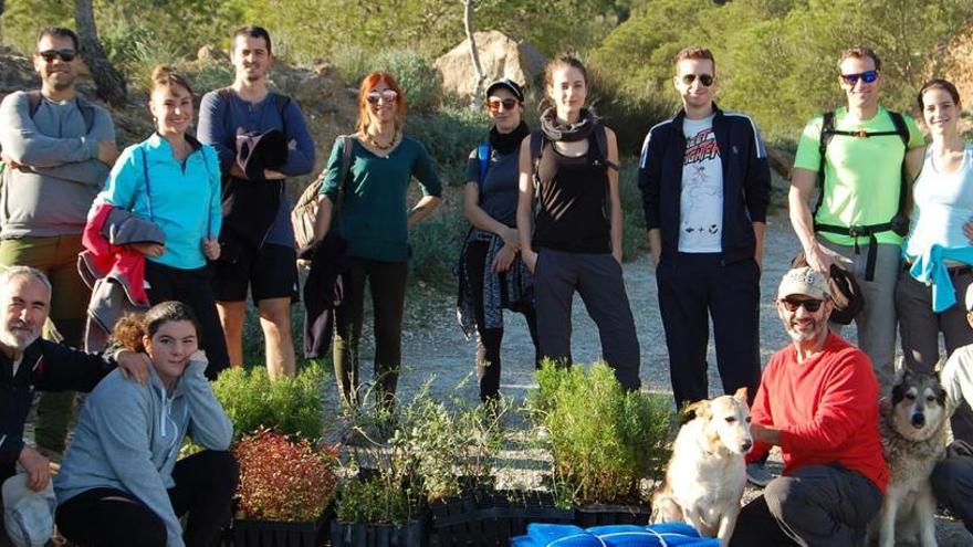 ARBA planta 3.000 árboles autóctonos en las sierras de Cartagena y La Unión  - La Opinión de Murcia