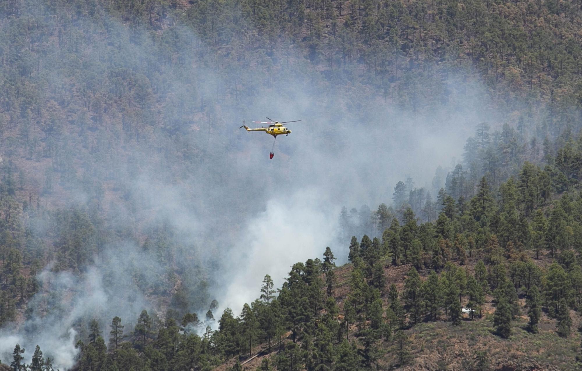 Incendio en Arico