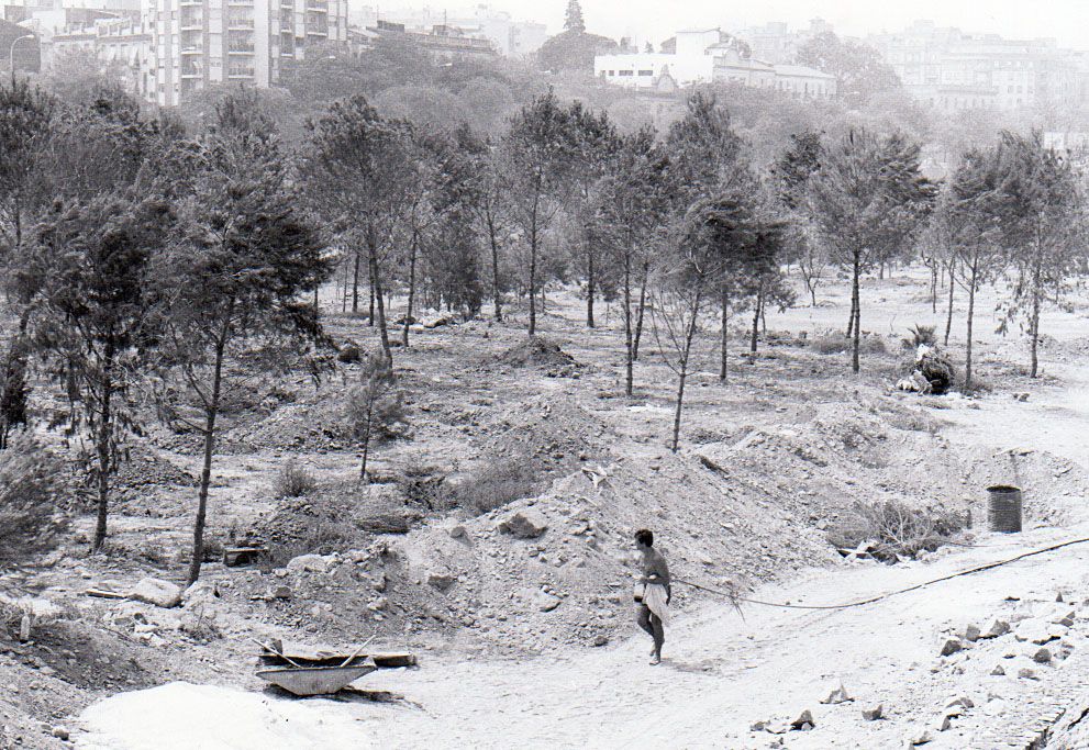 Así se transformó el viejo cauce del rio Turia en jardin