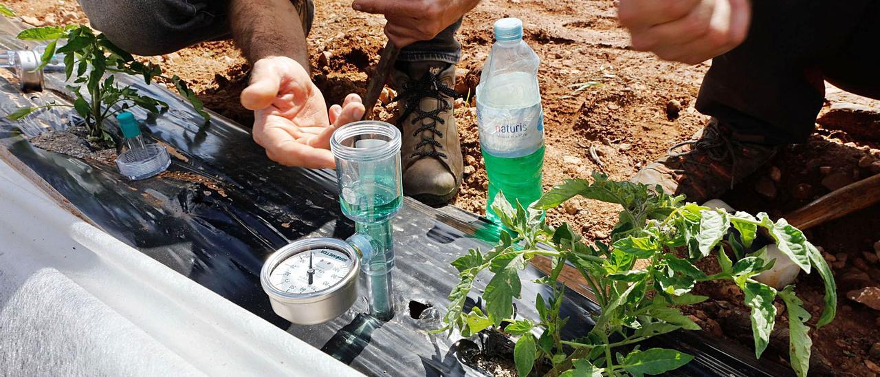 Dos agricultores instalan un medidor de humedad sobre una plantación en la que se ha usado plástico biodegradable. | J. A. RIERA