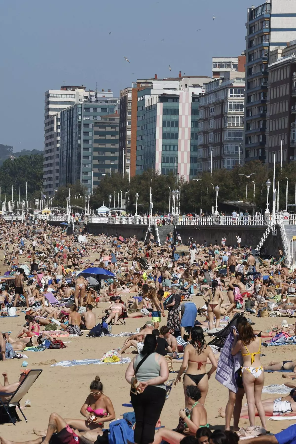 Playa, chapuzones, helados... Gijón disfruta de un día de mucho calor (en imágenes)