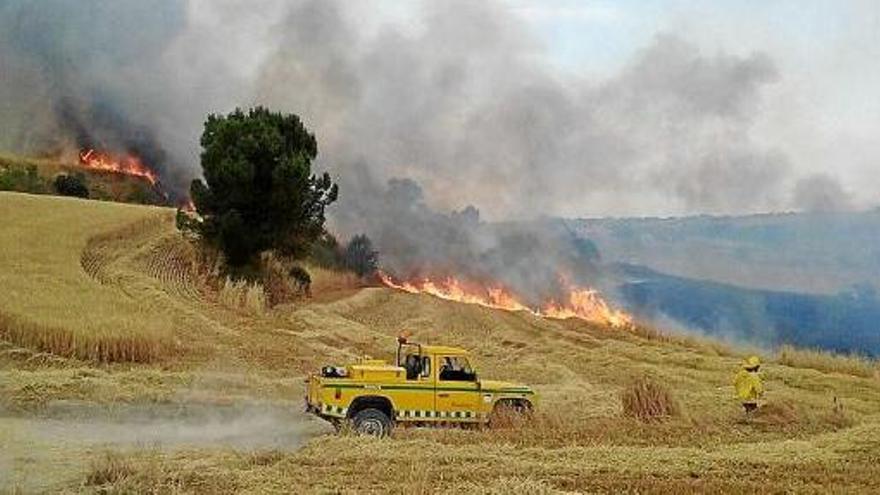 El primer incendi agrícola destacat de l&#039;estiu crema  25 hectàrees a Montmaneu