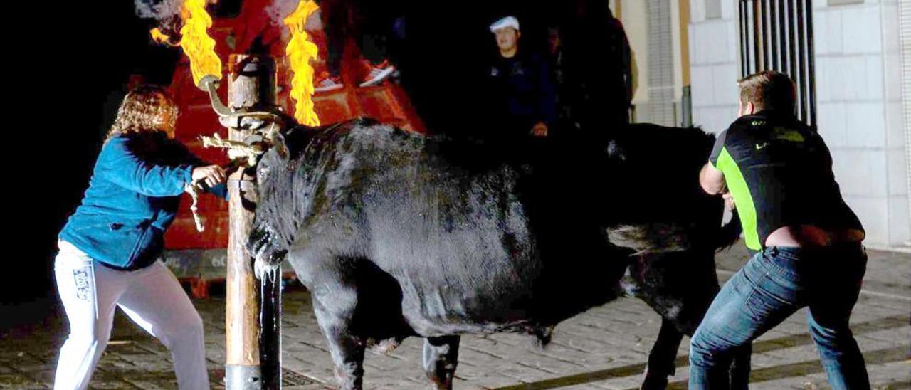 Polémico referéndum taurino en Aldaia