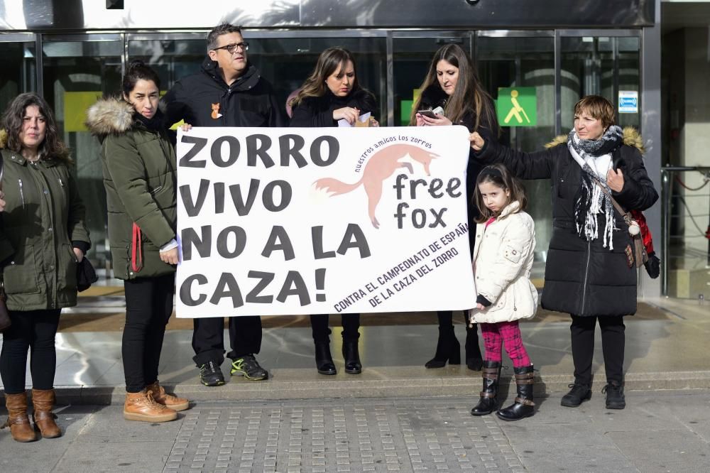 Protesta en A Coruña contra la caza de zorros