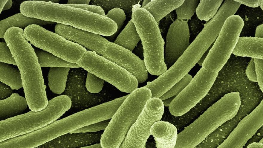 全国に危険なほど蔓延している連鎖球菌「人食い病」とは何ですか、またどのようにして感染するのでしょうか?