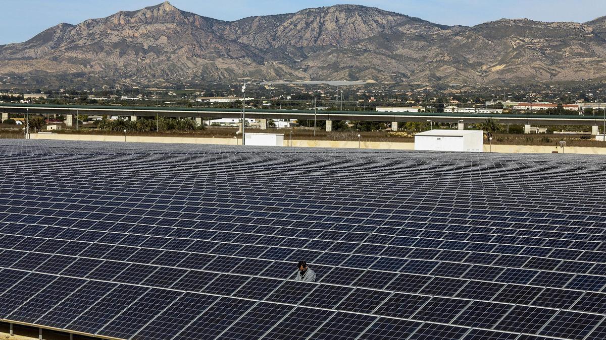 Planta fotovoltaica en el sur de la Comunitat Valenciana.