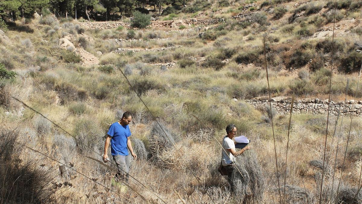 Los técnicos durante los trabajos de deslinde del cerro de La Mola.