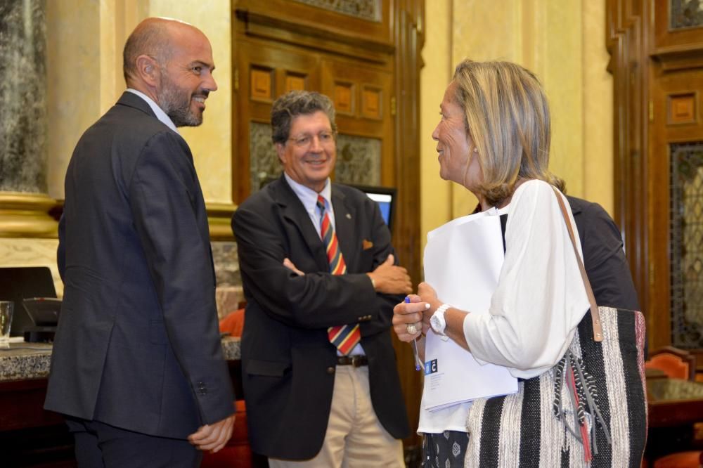 Pleno ordinario en A Coruña septiembre 2017