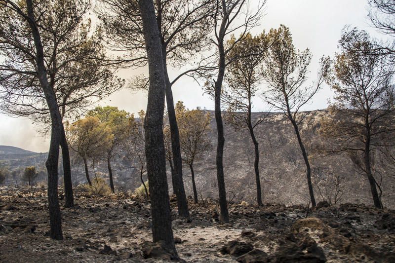 El paraje de El Surar, arrasado por el incendio