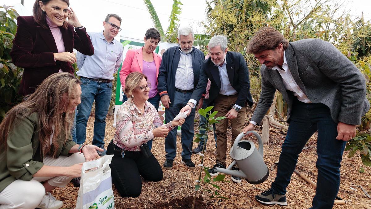 Visita a la finca ecológica Serviagroc, en Guía de Isora