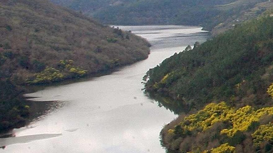 Cañones del río Sil, en la Ribeira Sacra. // Jesús Regal