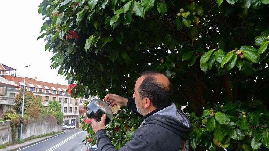 Uno de los apicultores muestra la colocación de una trampa en Aldán. // Gonzalo Núñez